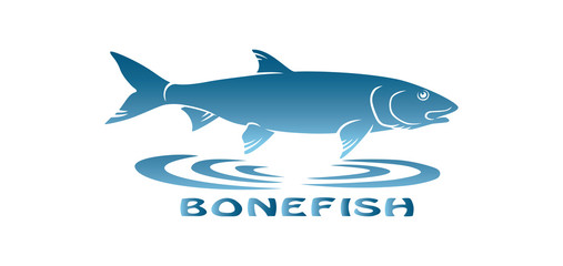 bonefish