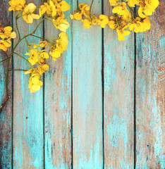 Yellow flowers on vintage wooden background, border design. vintage color tone - concept flower of spring or summer background