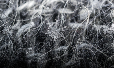 real snowflake closeup on grey wool