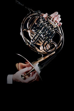 French horn music instrument