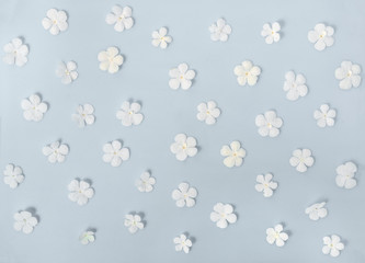 Fototapeta na wymiar flat lay of beautiful trendy seamless pattern white flowers on b