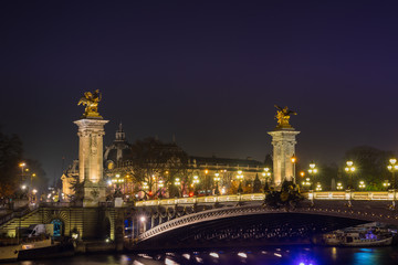 Fototapeta na wymiar Bridge of the Alexandre III, Paris