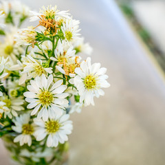 White flowers in glass
