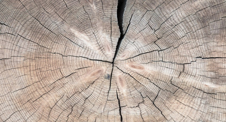 Fototapeta premium Natural Grungy Wooden Texture.