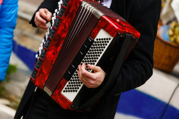 The musician playing the accordion player