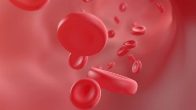 Blood flowing through the arteries, 3d animation. Seamless loop full HD 1080