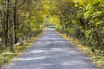 colored autumn and an old road with milestones