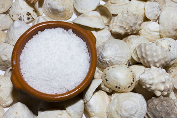 Fototapeta na wymiar Ceramic with salt empty on a background of white shells