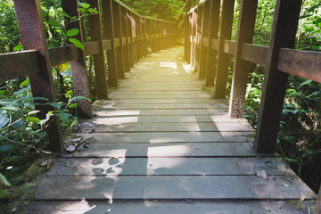 walkway in forest at Kew Mae Pan Nature Trail (Doi Inthanon Nati