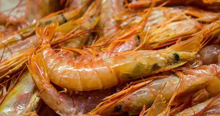 Fresh shrimp ,Prawn in the market background.