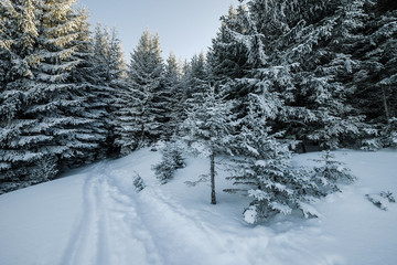 Majestic winter landscape