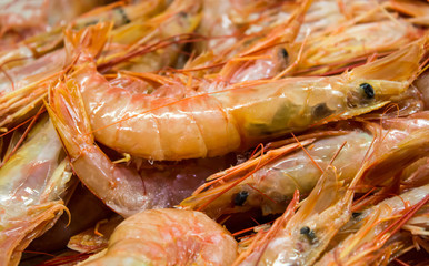 Fresh shrimp , Prawn frozen in the market background.