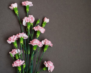 Fototapeta na wymiar Pink carnation flowers on paper