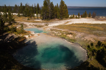 Yellowstone landscape with hot water pools,forest and lake