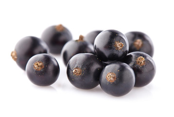 Blackcurrant in closeup