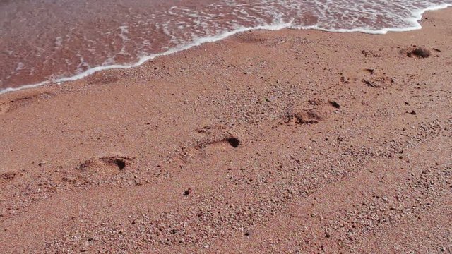 girl feet leave footprints on the beach