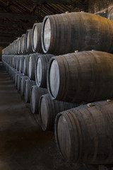 stock of wine barrels in wine cellar in porto
