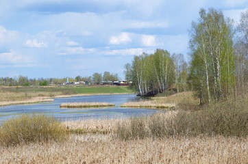 Spring rural landscape with river