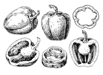 Pepper hand drawn vector set. Vegetable engraved style object, full, half and slices. Isolated bell pepper.