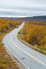 Empty road with low vegetation on the side in the Norwegian countryside