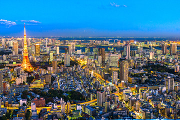 Fototapeta premium Skyline of Tokyo witj the Tokyo Tower at blue hour. Japan