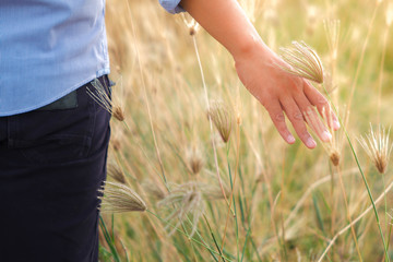 Concept of freedom with hand and meadow