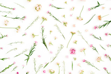 Floral pattern with pink and beige wildflowers, green leaves, branches on white background. Flat lay, top view. Valentine's background