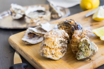 Raw oysters closed shells on wooden cutting board