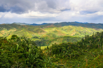 Fototapeta na wymiar Rainforest of Madagascar