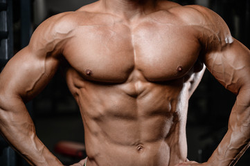 Obraz premium Handsome fitness model train in the gym gain muscle