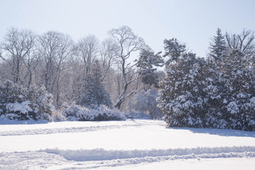Snowy Warsaw park Lazienki