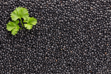 Food and cookery background of healthy dried  black lentils.