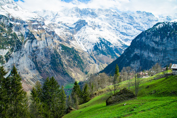 The Snow-covered Swiss Alps in background and Green field at Murren Village, Jungfrau region, Switzerland - April, 2016