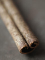 rustic cinnamon bark