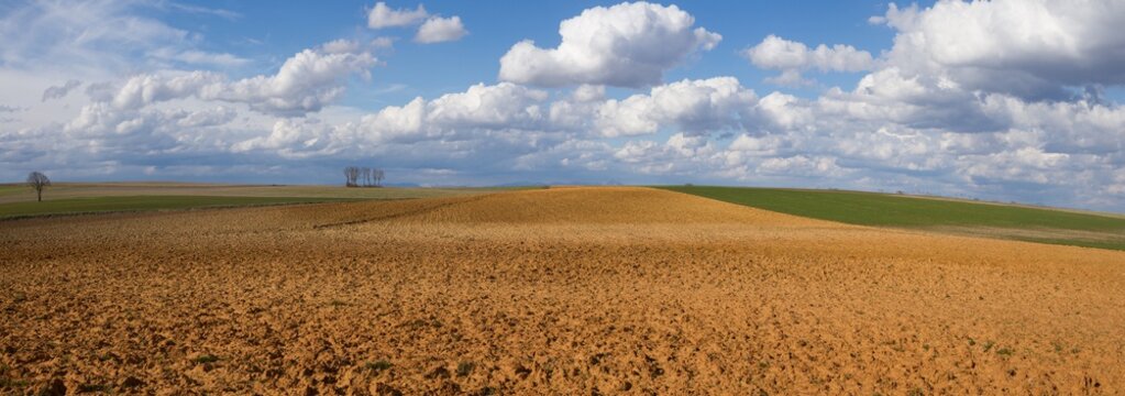 Paisaje Panoramico de Campos con Barbechos y Cultivos y Cielo con Nubes Algodonosas