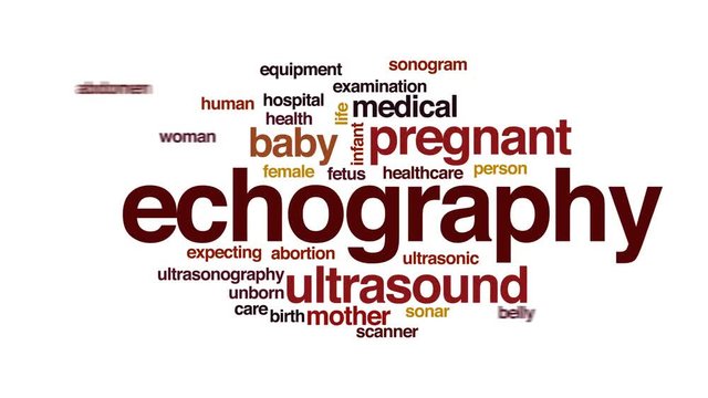 Echography animated word cloud.