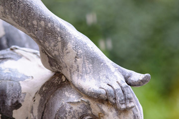 particolare fontana delle tartarughe a Roma