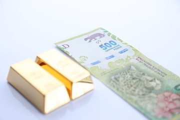 gold bullion and argentine money
