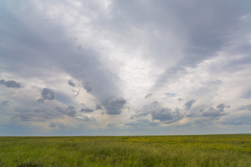 Fototapeta na wymiar Clouds over green grass