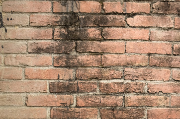 red bricks wall background