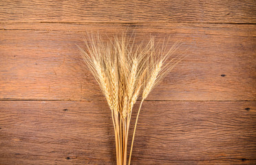 Barley grain on wooden table