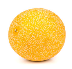 melon on a white background