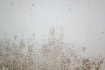 grunge cement wall