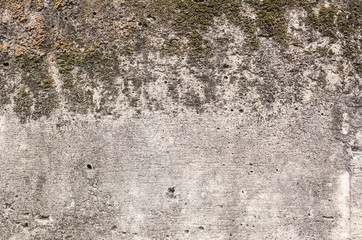 grunge cement wall