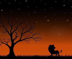 Silhouette of a lion standing on the night background