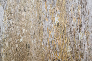 aged wooden texture
