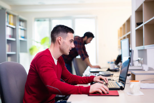 Programmer working in a software developing company