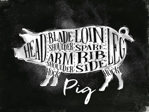 Pig pork cutting scheme chalk
