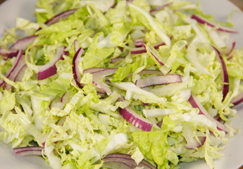 Close-up of salad with chinese cabbage and onion