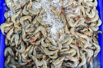 Fresh shrimp in the seafood market